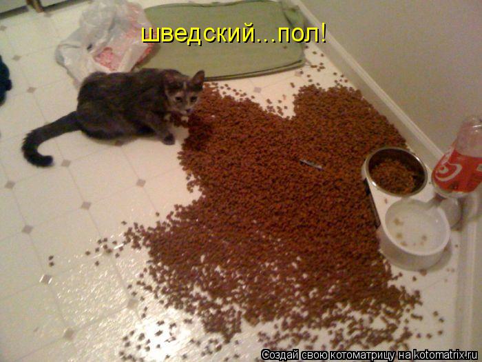 шведский...пол!... Котоматрица: шведский...пол!