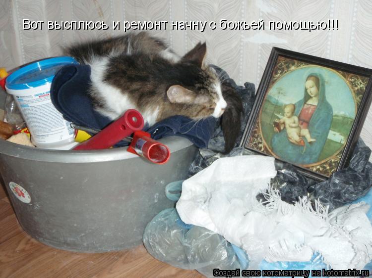 Вот высплюсь и ремонт начну с божьей помощью!!!... Котоматрица: Вот высплюсь и ремонт начну с божьей помощью!!!