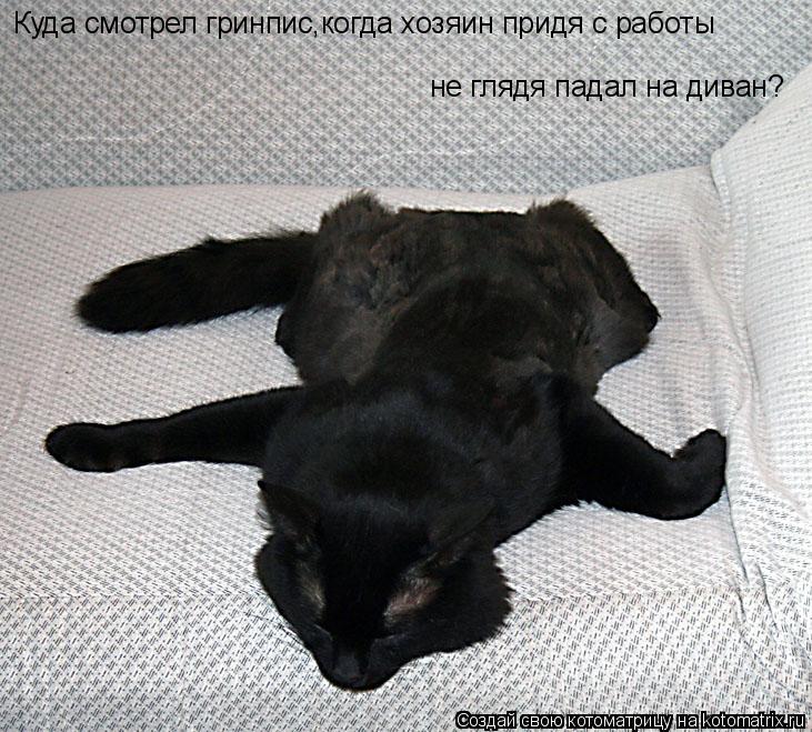 Куда смотрел гринпис,когда хозяин придя с работы не глядя падал на диван?... Котоматрица: Куда смотрел гринпис,когда хозяин придя с работы не глядя падал на диван?