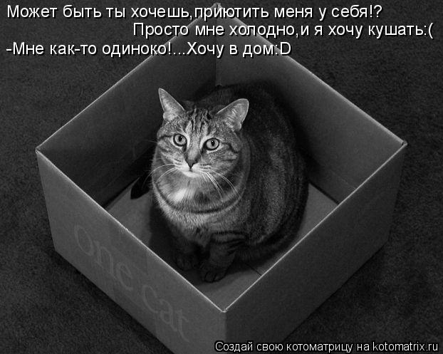 Может быть ты хочешь,приютить меня у себя!? Просто мне холодно,и я хочу кушать:( -Мне как-то одиноко!... Котоматрица: Может быть ты хочешь,приютить меня у себя!? Просто мне холодно,и я хочу кушать:( -Мне как-то одиноко!...Хочу в дом:D