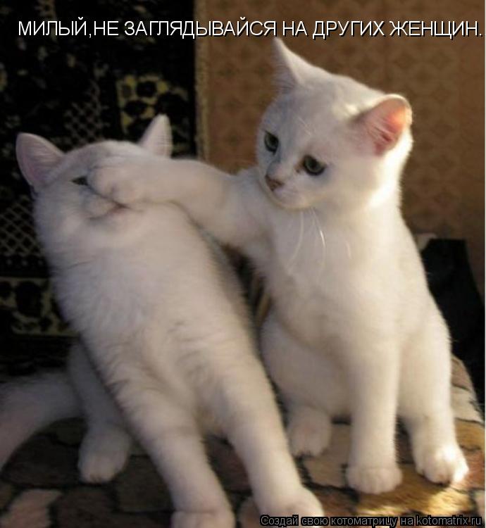 МИЛЫЙ,НЕ ЗАГЛЯДЫВАЙСЯ НА ДРУГИХ ЖЕНЩИН....... Котоматрица: МИЛЫЙ,НЕ ЗАГЛЯДЫВАЙСЯ НА ДРУГИХ ЖЕНЩИН....