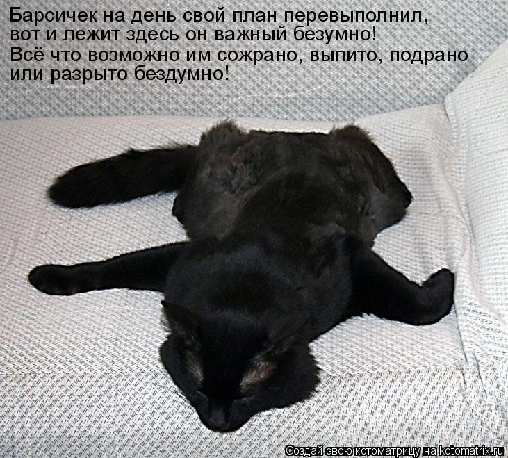 Барсичек на день свой план перевыполнил, вот и лежит здесь он важный безумно! Всё что возможно им сож... Котоматрица: Барсичек на день свой план перевыполнил, вот и лежит здесь он важный безумно! Всё что возможно им сожрано, выпито, подрано или разрыто безду