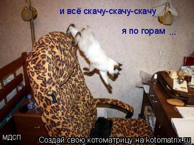 и всё скачу-скачу-скачу я по горам ... МДСП... Котоматрица: и всё скачу-скачу-скачу я по горам ... МДСП