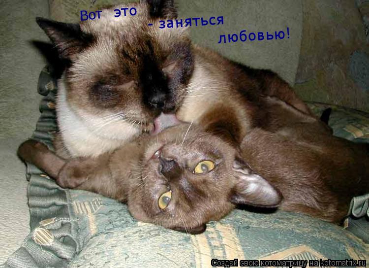 Во т это - заняться любовью!... Котоматрица: Во т это - заняться любовью!