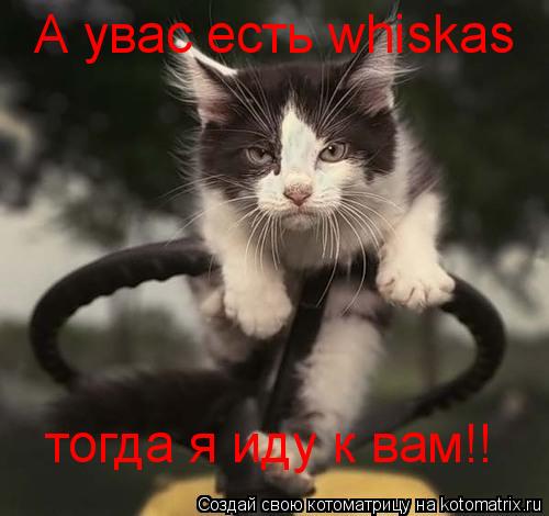 А увас есть whiskas тогда я иду к вам!!... Котоматрица: А увас есть whiskas тогда я иду к вам!!