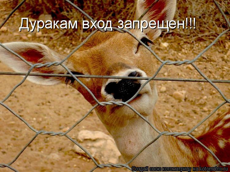 Дуракам вход запрещен!!!... Котоматрица: Дуракам вход запрещен!!!