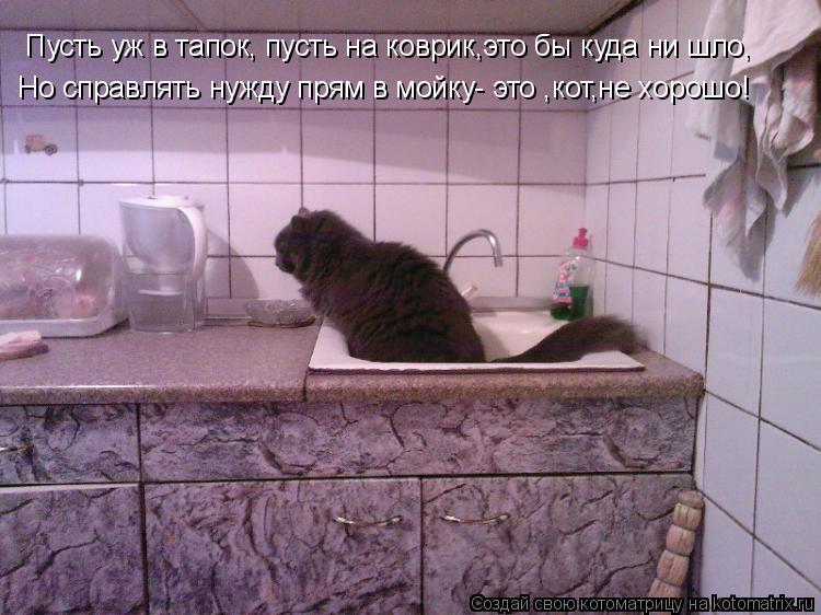 Пусть уж в тапок, пусть на коврик,это бы куда ни шло, Но справлять нужду прям в мойку- это ,кот,не хо... Котоматрица: Пусть уж в тапок, пусть на коврик,это бы куда ни шло, Но справлять нужду прям в мойку- это ,кот,не хорошо!