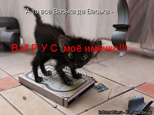 А то всё Васька да Васька - В И Р У С моё имечко!!!... Котоматрица: А то всё Васька да Васька - В И Р У С моё имечко!!!