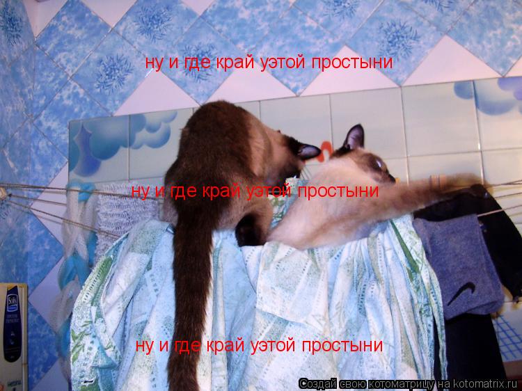 ну и где край уэтой простыни ну и где край уэтой простыни ну и где край уэтой простыни... Котоматрица: ну и где край уэтой простыни ну и где край уэтой простыни ну и где край уэтой простыни