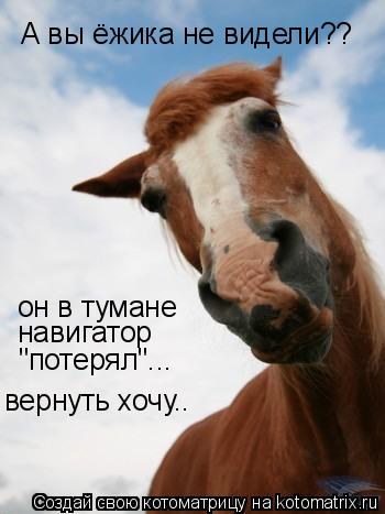 А вы ёжика не видели?? он в тумане навигатор "потерял"... вернуть хочу..... Котоматрица: А вы ёжика не видели?? он в тумане навигатор "потерял"... вернуть хочу..