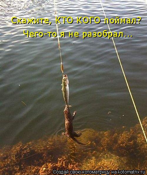 Скажите, КТО КОГО поймал? Чего-то я не разобрал...... Котоматрица: Скажите, КТО КОГО поймал? Чего-то я не разобрал...