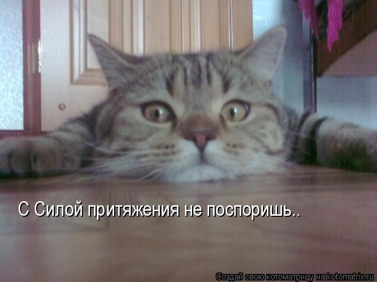 С Силой притяжения не поспоришь..... Котоматрица: С Силой притяжения не поспоришь..
