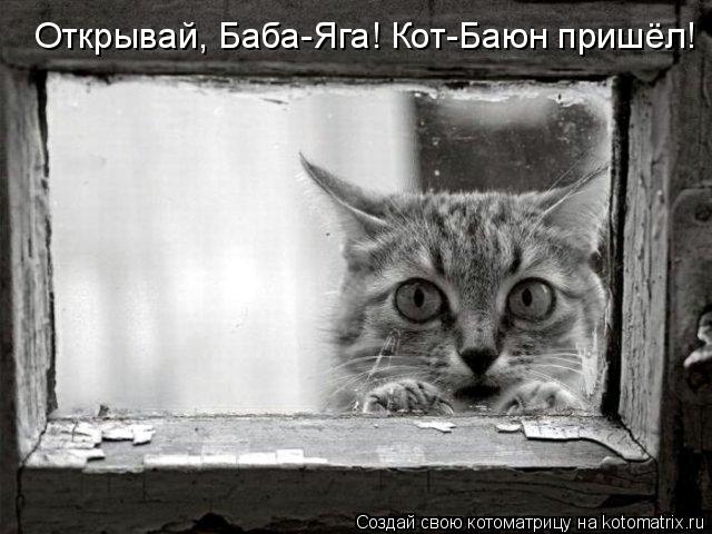 Открывай, Баба-Яга! Кот-Баюн пришёл!... Котоматрица: Открывай, Баба-Яга! Кот-Баюн пришёл!