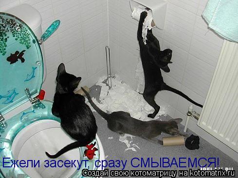 Ежели засекут, сразу СМЫВАЕМСЯ!... Котоматрица: Ежели засекут, сразу СМЫВАЕМСЯ!