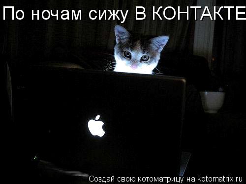 По ночам сижу В КОНТАКТЕ... Котоматрица: По ночам сижу В КОНТАКТЕ