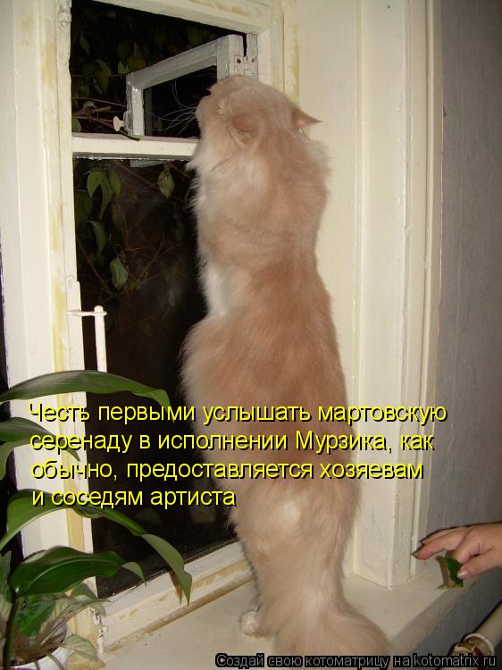 Честь первыми услышать мартовскую серенаду в исполнении Мурзика, как обычно, предоставляется хозяевам... Котоматрица: Честь первыми услышать мартовскую серенаду в исполнении Мурзика, как обычно, предоставляется хозяевам и соседям артиста
