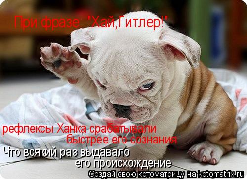 При фразе: "Хай,Гитлер!" рефлексы Ханка срабатывали быстрее его сознания Что всякий раз выдавало его... Котоматрица: При фразе: "Хай,Гитлер!" рефлексы Ханка срабатывали быстрее его сознания Что всякий раз выдавало его происхождение