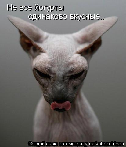 Не все йогурты одинаково вкусные..... Котоматрица: Не все йогурты одинаково вкусные..