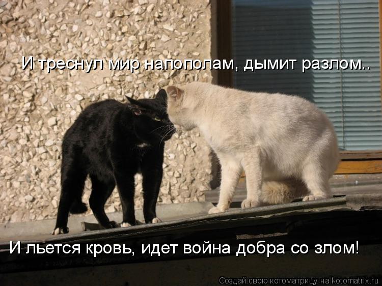 И треснул мир напополам, дымит разлом.. И льется кровь, идет война добра со злом!... Котоматрица: И треснул мир напополам, дымит разлом.. И льется кровь, идет война добра со злом!