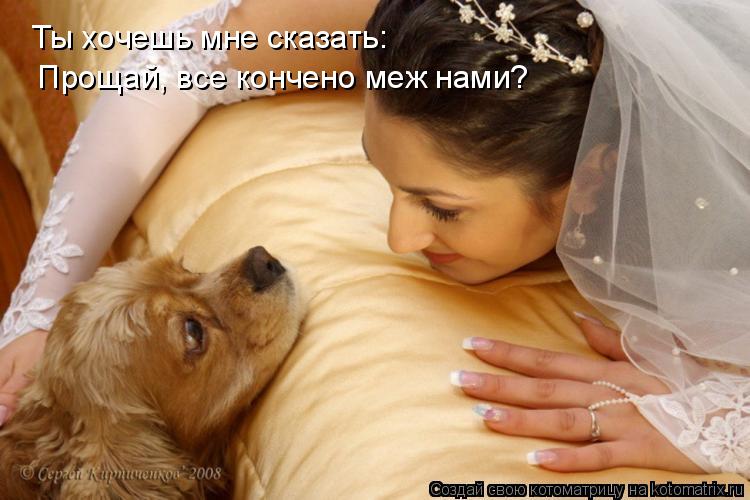 Ты хочешь мне сказать: Прощай, все кончено меж нами?... Котоматрица: Ты хочешь мне сказать: Прощай, все кончено меж нами?