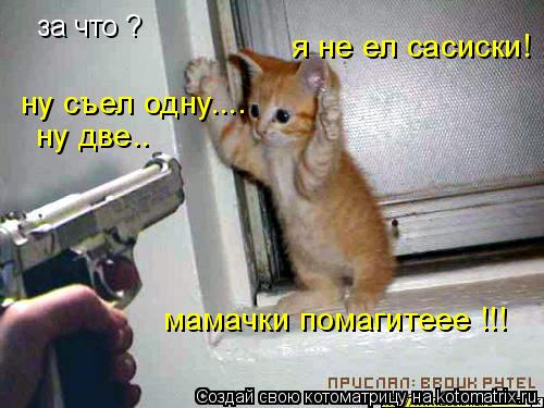 за что ? я не ел сасиски! ну съел одну.... ну две.. мамачки помагитеее !!!... Котоматрица: за что ? я не ел сасиски! ну съел одну.... ну две.. мамачки помагитеее !!!