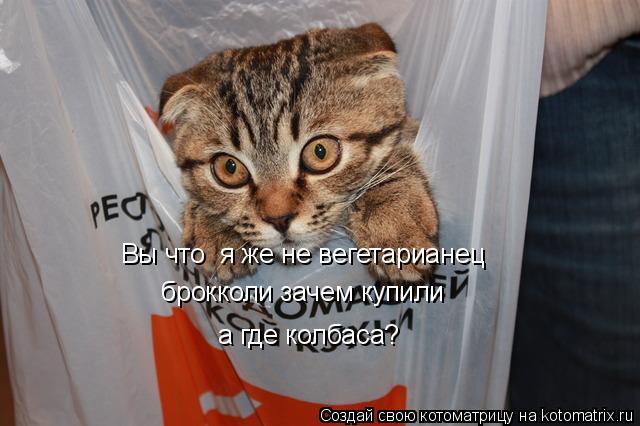 Вы что я же не вегетарианец брокколи зачем купили а где колбаса?... Котоматрица: Вы что я же не вегетарианец брокколи зачем купили а где колбаса?
