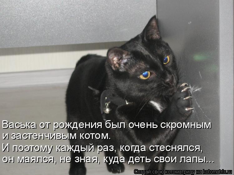 Васька от рождения был очень скромным и застенчивым котом. И поэтому каждый раз, когда стеснялся, он ... Котоматрица: Васька от рождения был очень скромным и застенчивым котом. И поэтому каждый раз, когда стеснялся, он маялся, не зная, куда деть свои лапы...