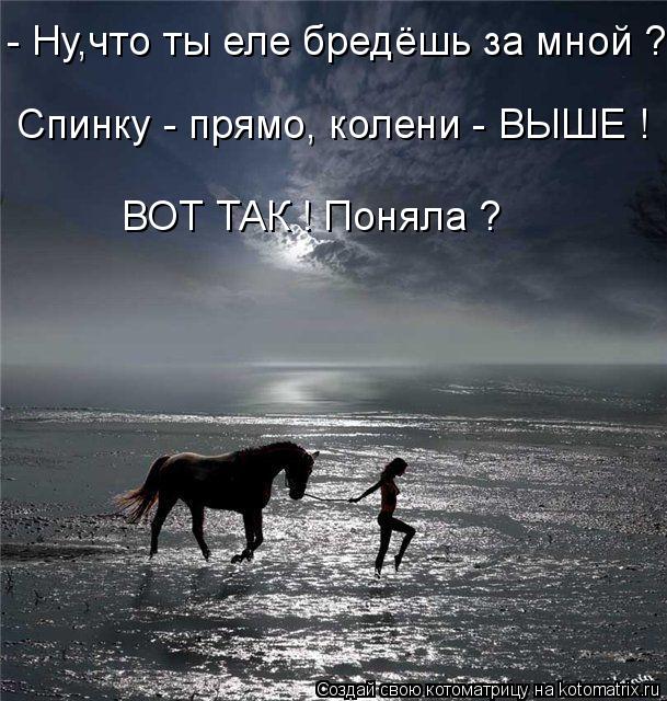 Котоматрица: - Ну,что ты еле бредёшь за мной ? Спинку - прямо, колени - ВЫШЕ ! ВОТ ТАК ! Поняла ?