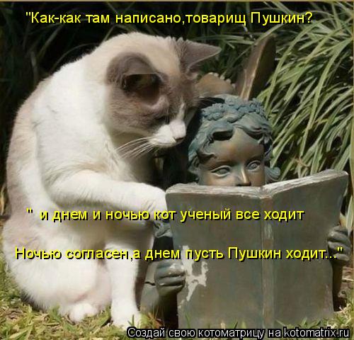 "Как-как там написано,товарищ Пушкин? " и днем и ночью кот ученый все ходит Ночью согласен,а днем пу... Котоматрица: "Как-как там написано,товарищ Пушкин? " и днем и ночью кот ученый все ходит Ночью согласен,а днем пусть Пушкин ходит..."