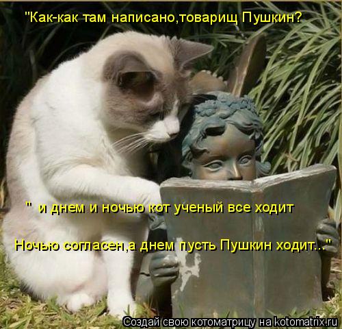 Котоматрица: "Как-как там написано,товарищ Пушкин? "  и днем и ночью кот ученый все ходит Ночью согласен,а днем пусть Пушкин ходит..."