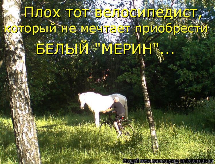 Плох тот велосипедист, который не мечтает приобрести БЕЛЫЙ "МЕРИН"...... Котоматрица: Плох тот велосипедист, который не мечтает приобрести БЕЛЫЙ "МЕРИН"...