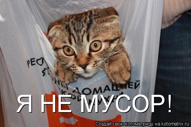 Котоматрица: Я НЕ МУСОР!