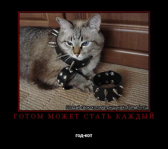 готом может стать каждый год-кот... Котоматрица: готом может стать каждый год-кот