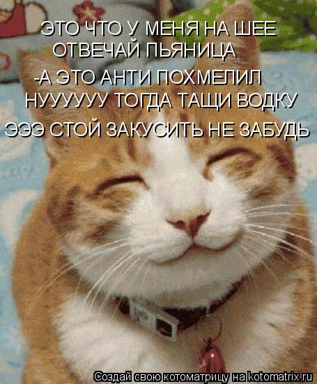 ЭТО ЧТО У МЕНЯ НА ШЕЕ ОТВЕЧАЙ ПЬЯНИЦА -А ЭТО АНТИ ПОХМЕЛИЛ НУУУУУУ ТОГДА ТАЩИ ВОДКУ ЭЭЭ СТОЙ ЗАКУСИТЬ... Котоматрица: ЭТО ЧТО У МЕНЯ НА ШЕЕ ОТВЕЧАЙ ПЬЯНИЦА -А ЭТО АНТИ ПОХМЕЛИЛ НУУУУУУ ТОГДА ТАЩИ ВОДКУ ЭЭЭ СТОЙ ЗАКУСИТЬ НЕ ЗАБУДЬ
