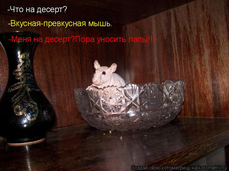 -Что на десерт? -Вкусная-превкусная мышь. -Меня на десерт?Пора уносить лапы!!!... Котоматрица: -Что на десерт? -Вкусная-превкусная мышь. -Меня на десерт?Пора уносить лапы!!!