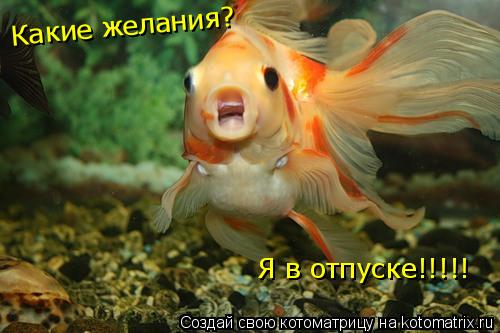 Какие желания? Я в отпуске!!!!!... Котоматрица: Какие желания? Я в отпуске!!!!!