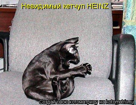 Котоматрица: Невидимый кетчуп HEINZ