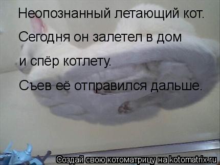 Неопознанный летающий кот. Сегодня он залетел в дом и спёр котлету. Съев её отправился дальше.... Котоматрица: Неопознанный летающий кот. Сегодня он залетел в дом и спёр котлету. Съев её отправился дальше.