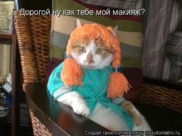 Дорогой,ну как тебе мой макияж?... Котоматрица: Дорогой,ну как тебе мой макияж?