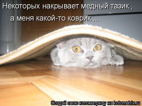 Некоторых накрывает медный тазик , а меня какой-то коврик ...... Котоматрица: Некоторых накрывает медный тазик , а меня какой-то коврик ...