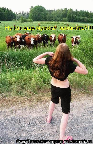 Ну как еще мужика заманить?!!!!... Котоматрица: Ну как еще мужика заманить?!!!!