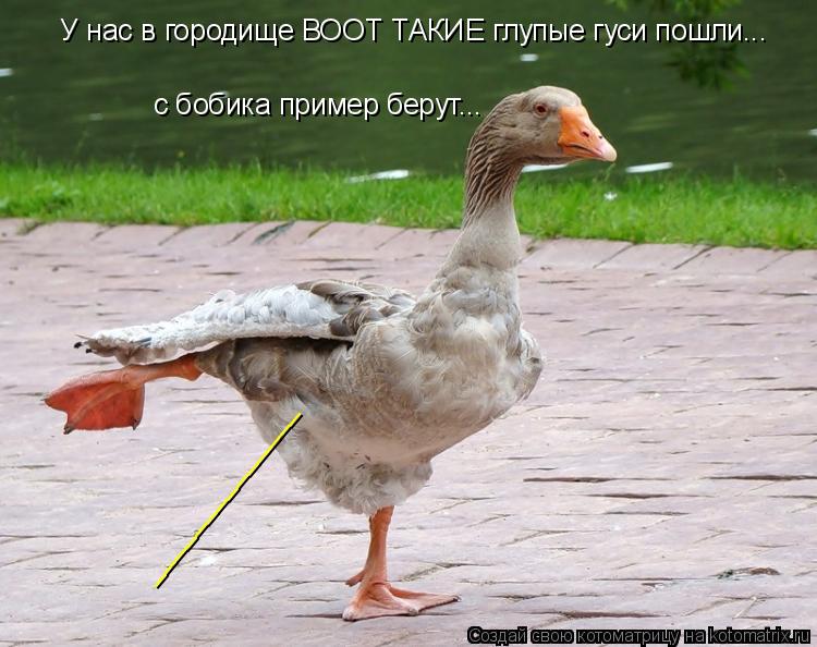 У нас в городище ВООТ ТАКИЕ глупые гуси пошли... с бобика пример берут... ______________... Котоматрица: У нас в городище ВООТ ТАКИЕ глупые гуси пошли... с бобика пример берут... ______________