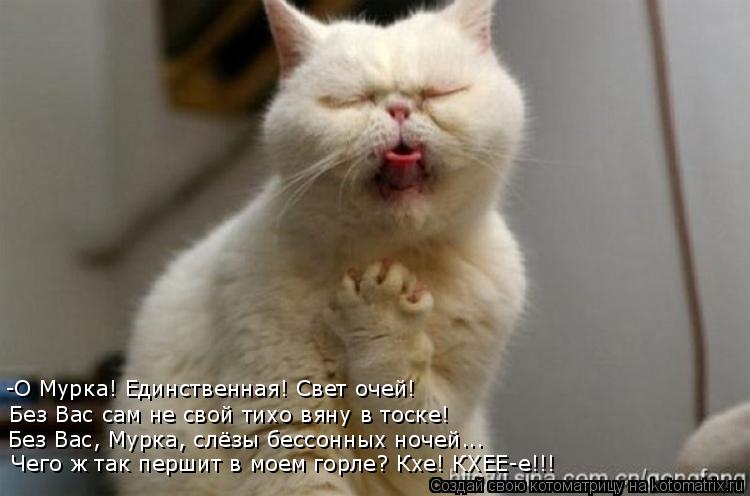 -О Мурка! Единственная! Свет очей! Без Вас сам не свой тихо вяну в тоске! Без Вас, Мурка, слёзы бессо... Котоматрица: -О Мурка! Единственная! Свет очей! Без Вас сам не свой тихо вяну в тоске! Без Вас, Мурка, слёзы бессонных ночей... Чего ж так першит в моем горле?