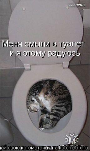 Меня смыли в туалет и я этому радуюсь... Котоматрица: Меня смыли в туалет и я этому радуюсь