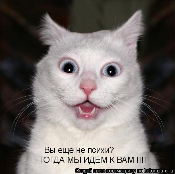 Вы еще не психи? ТОГДА МЫ ИДЕМ К ВАМ !!!!... Котоматрица: Вы еще не психи? ТОГДА МЫ ИДЕМ К ВАМ !!!!