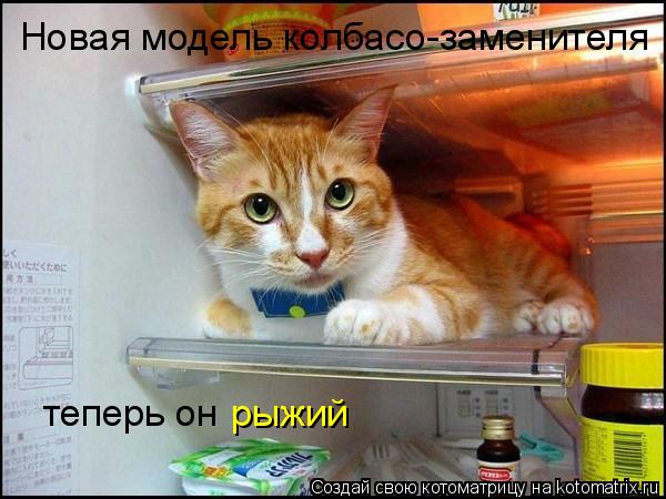 теперь он рыжий Новая модель колбасо-заменителя... Котоматрица: теперь он рыжий Новая модель колбасо-заменителя