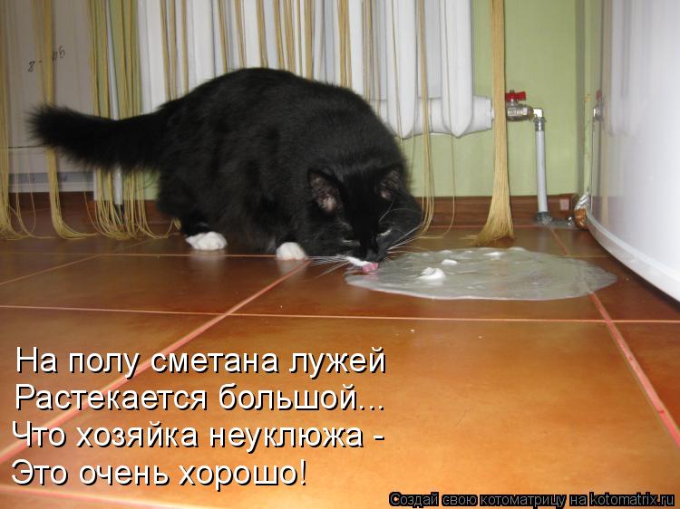 Котоматрица: На полу сметана лужей Растекается большой... Что хозяйка неуклюжа - Это очень хорошо!