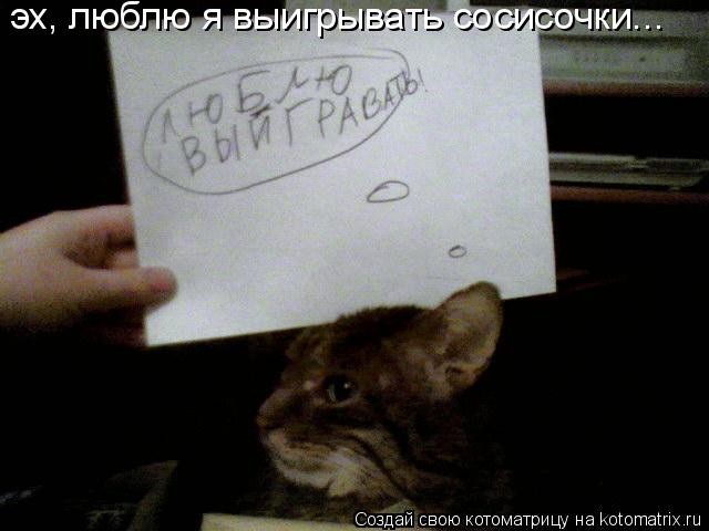 эх, люблю я выигрывать сосисочки...... Котоматрица: эх, люблю я выигрывать сосисочки...