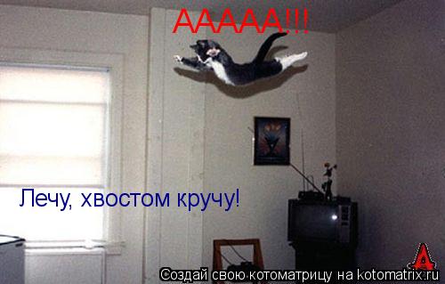 Котоматрица: ААААА!!! Лечу, хвостом кручу!