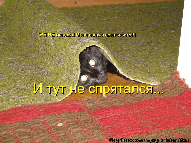 Э!Я НЕ складка! Меня нельзя пылесосить!!! И тут не спрятался...... Котоматрица: Э!Я НЕ складка! Меня нельзя пылесосить!!! И тут не спрятался...